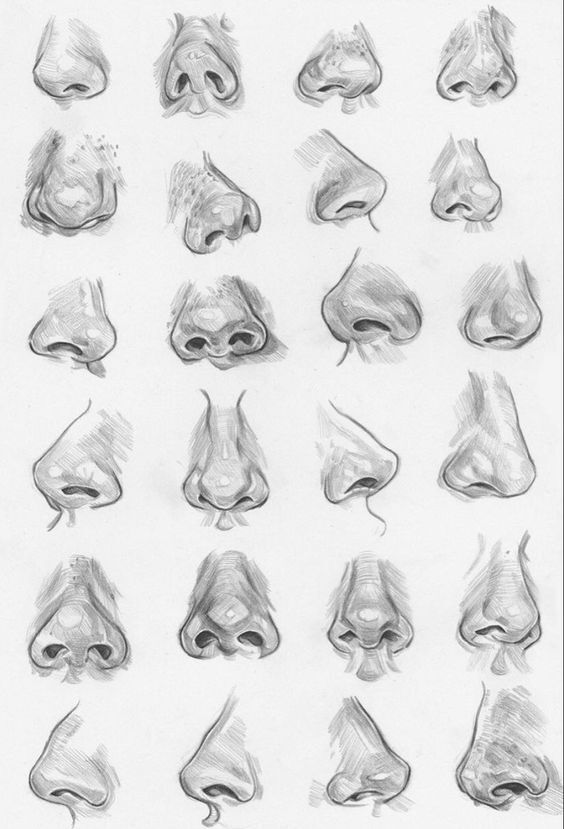 What Actually Happens to Your Nose After Wearing the Same Scent for Months